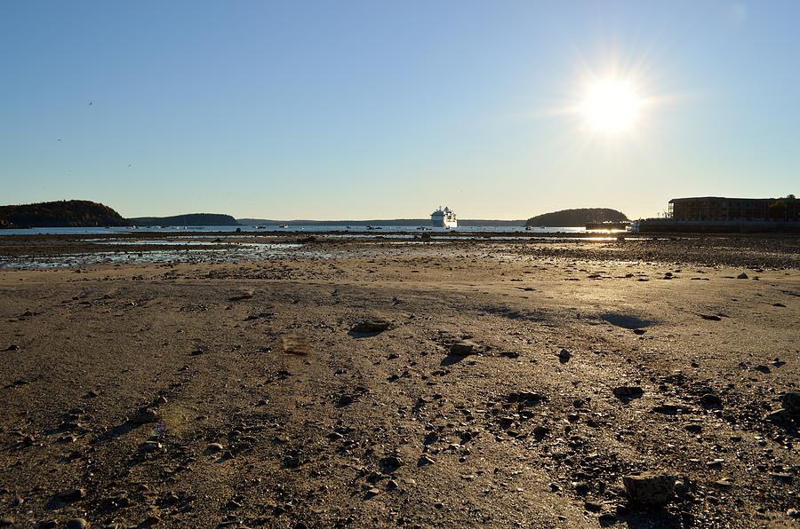 Low Tide in Bar Harbor Maine Photograph by Lena Hatch