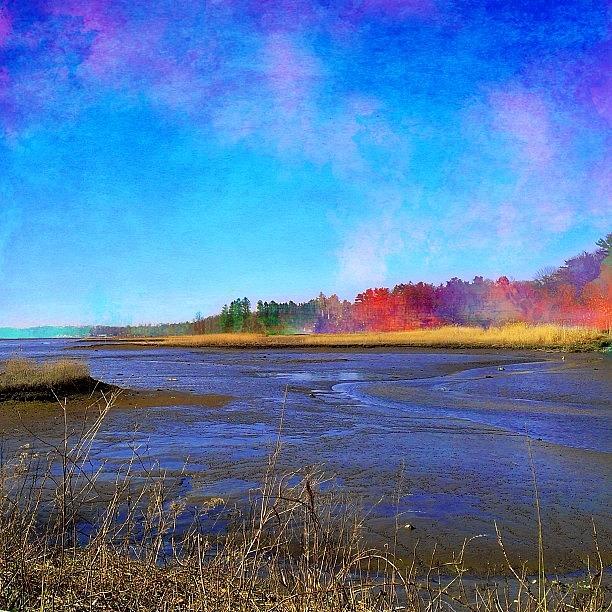 Procreate Photograph - Low Tide In Mill Neck #picfx #procreate by Robin Mead