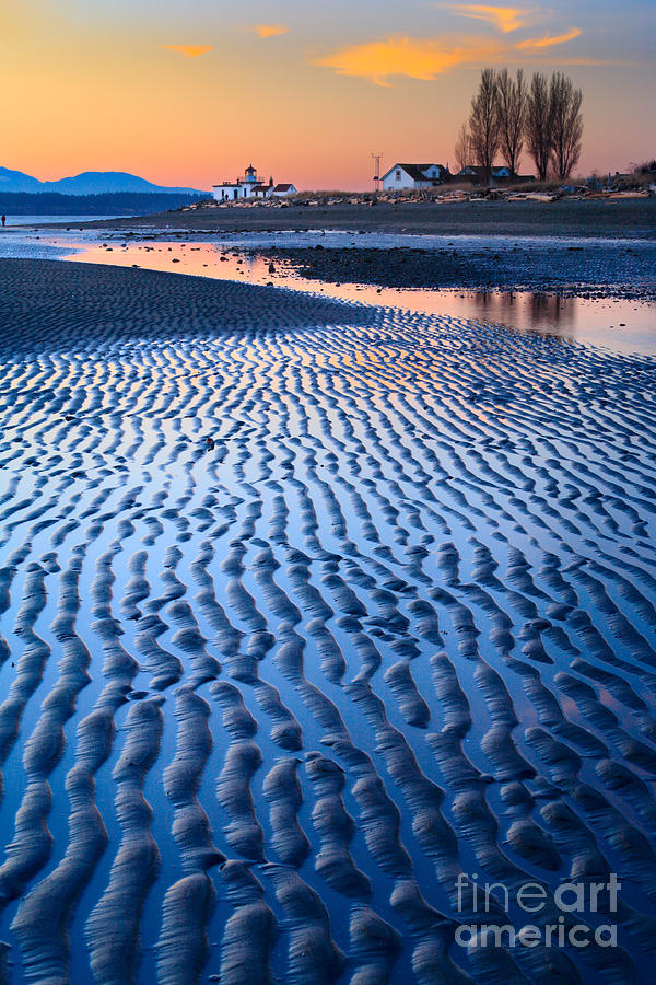 Low Tide in Seattle Photograph by Inge Johnsson