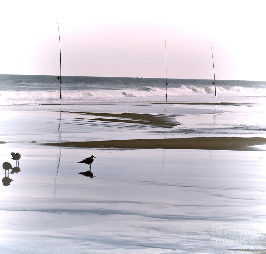 Bird Photograph - Low Tide  by Joe McCormack Jr