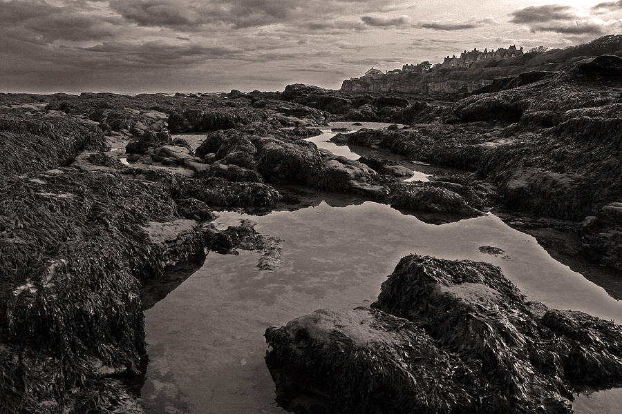 Low Tide Photograph by John Topman