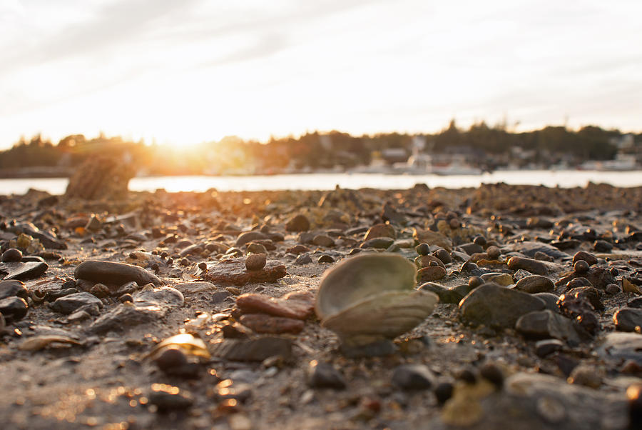 Low Tide by Kristen Mohr Low Tide by Kristen Mohr
