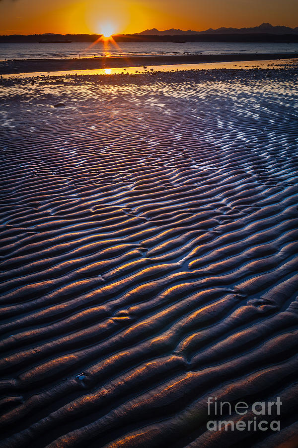 Low Tide Ripples Photograph by Inge Johnsson