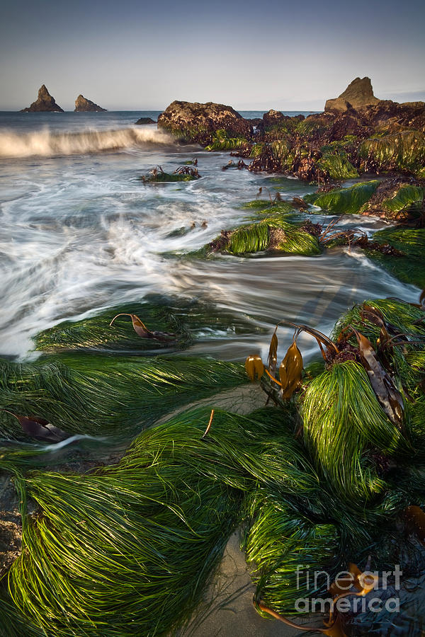Low Tide Photograph by Sean Bagshaw
