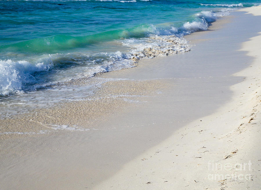 Low Tide Photograph by Terry Weaver | Fine Art America