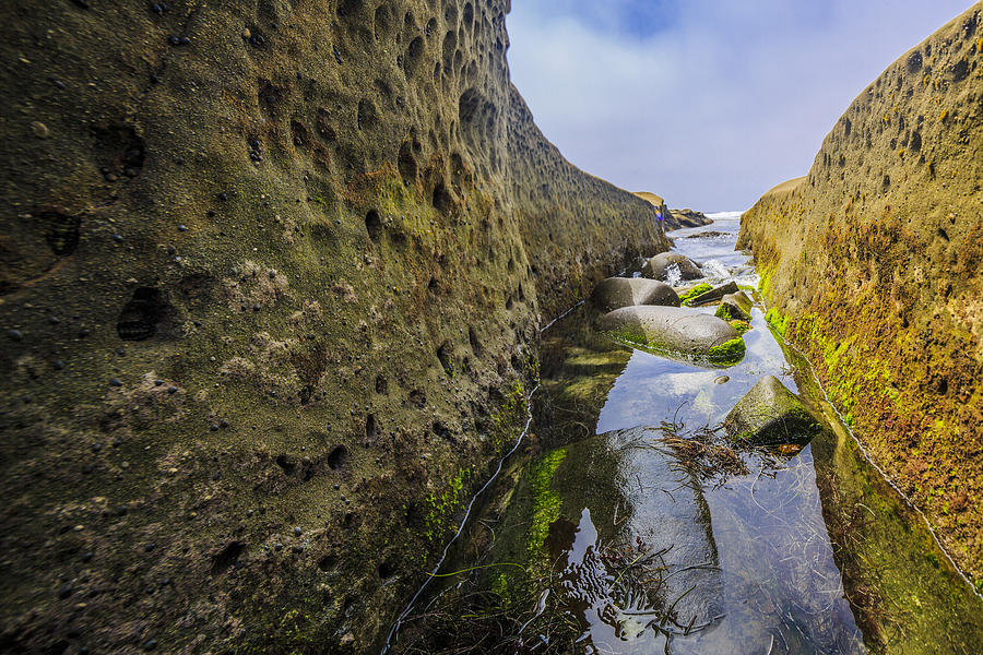 San Diego Photograph - Low Tide Trough 1 by Scott Campbell