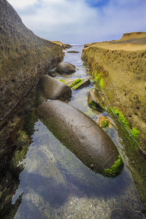 Low Tide Trough 2 Photograph by Scott Campbell