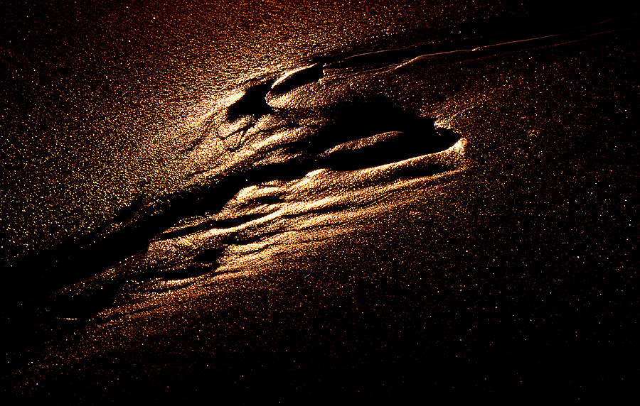 Low Tide Wet Sand 2  Photograph by Lyle Crump