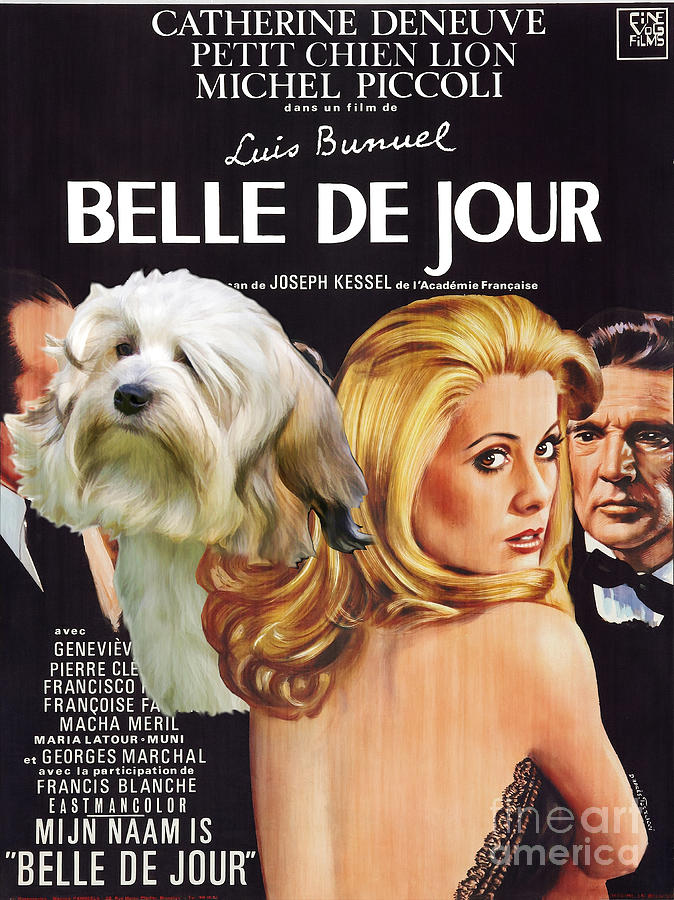 Lowchen Art - Belle de Jour Movie Poster Painting by Sandra Sij