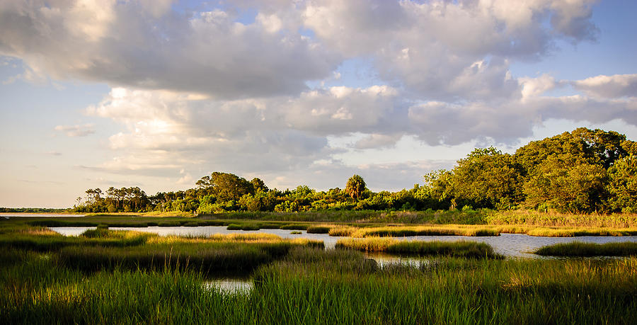 Lowcountry Heaven Photograph by Steve DuPree