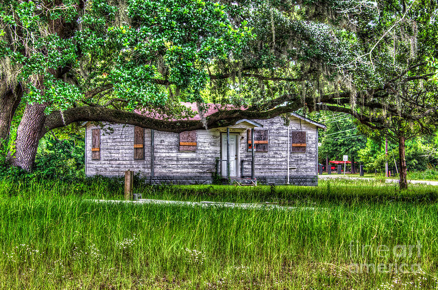 Lowcountry Heritage Photograph
