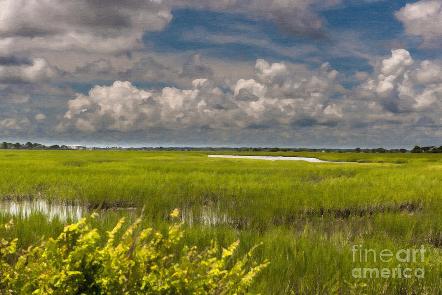 Lowcountry Tides Digital Art by Dale Powell