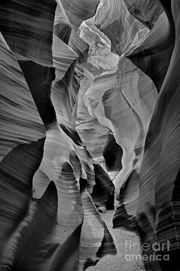 Lower Antelope Glow Black And White Photograph