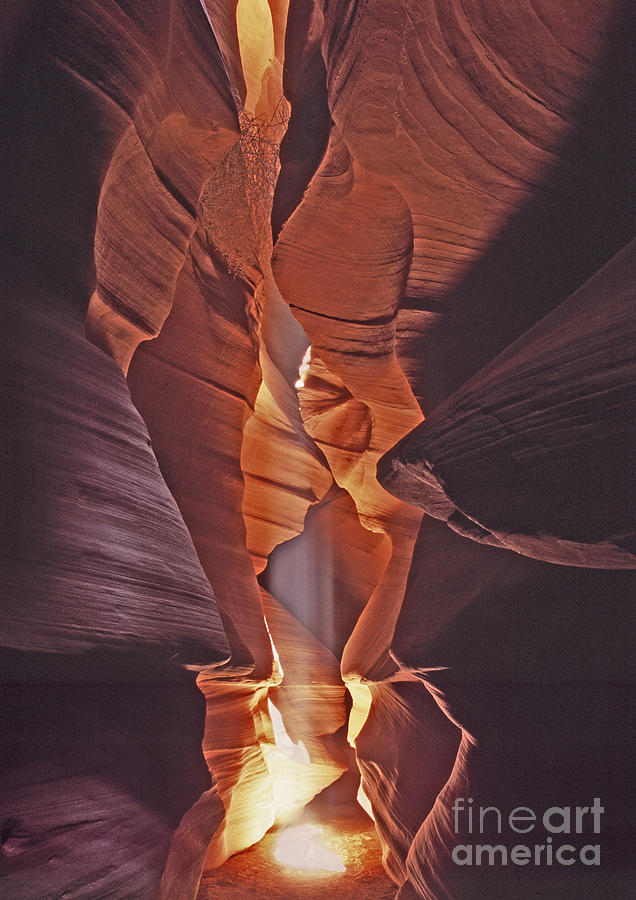 Lower Antelope light beam Photograph by Liz Leyden