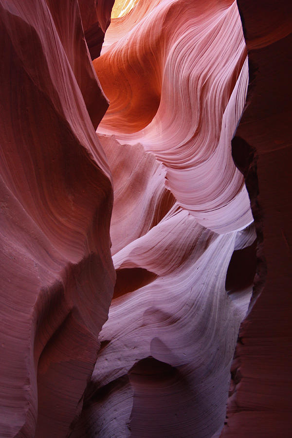 Lower Antelope Slot Canyon 1 Photograph by Jean Clark
