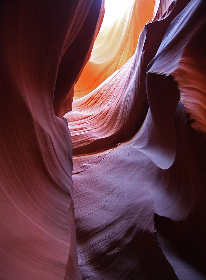 Lower Antelope Slot Canyon 5 Photograph by Jean Clark