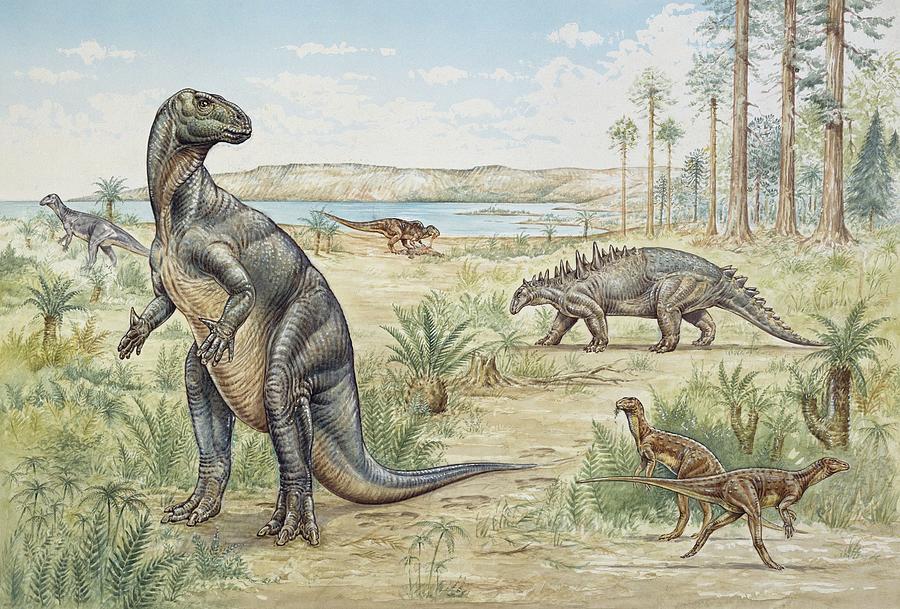 Lower Cretaceous Dinosaurs Photograph by Natural History Museum, London/science Photo Library