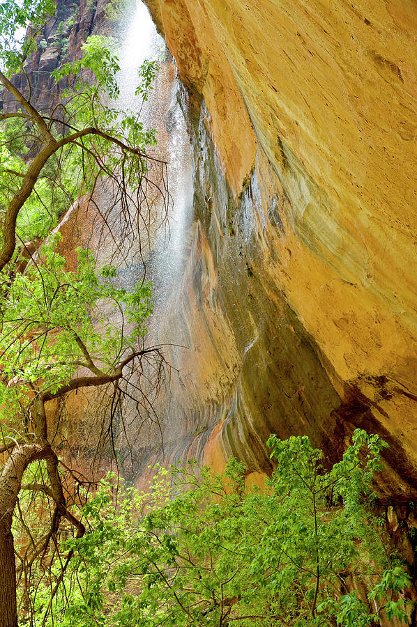 Zion National Park Photograph - Lower Emerald Pool Waterfall Red Rock by Howie Garber