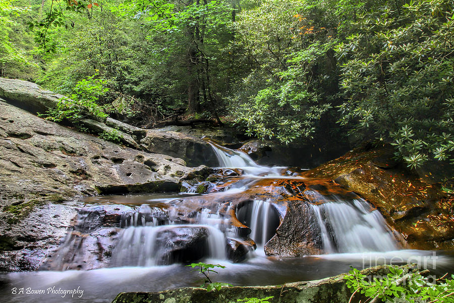 Lower Falls at Mill Creek Photograph by Barbara Bowen