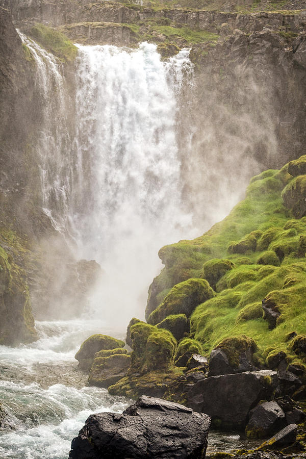 Nature Photograph - Lower Falls by Brent Olson