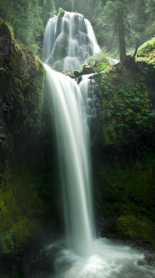 Waterfall Photograph - Lower Falls Creek Falls by Don Schwartz
