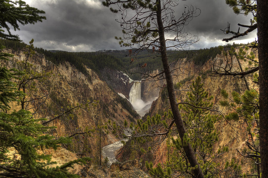 Yellowstone National Park Photograph - Lower Falls by Jack R Perry