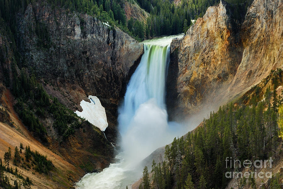 Yellowstone National Park Photograph - Lower Falls by Nicholas Savage