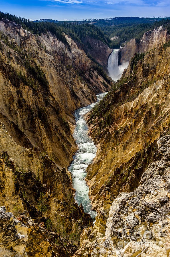 Lower Falls of Grand Canyon of Yellowstone Photograph by Debra Martz