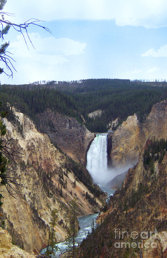 Lower Falls of the Yellowstone River Photograph by Charles Robinson