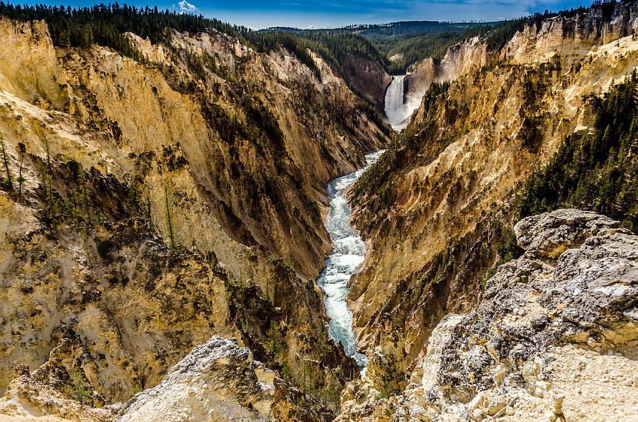 Lower Falls Of The Yellowstone River Photograph by Debra Martz