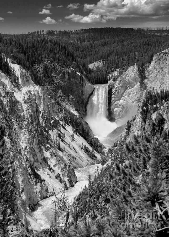 Lower Falls of Yellowstone B W Photograph by Jemmy Archer