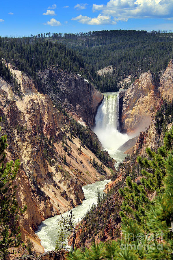 Lower Falls of Yellowstone Photograph by Jemmy Archer