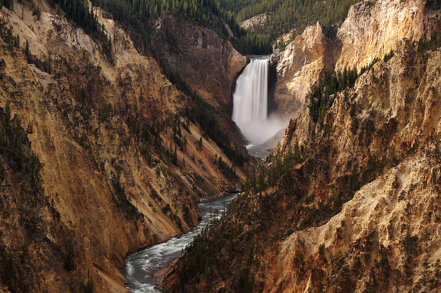 Lower Falls of Yellowstone Photograph by Leda Robertson