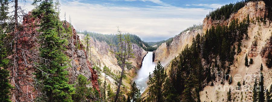 Lower Falls of Yellowstone Photograph by Rachel Barrett