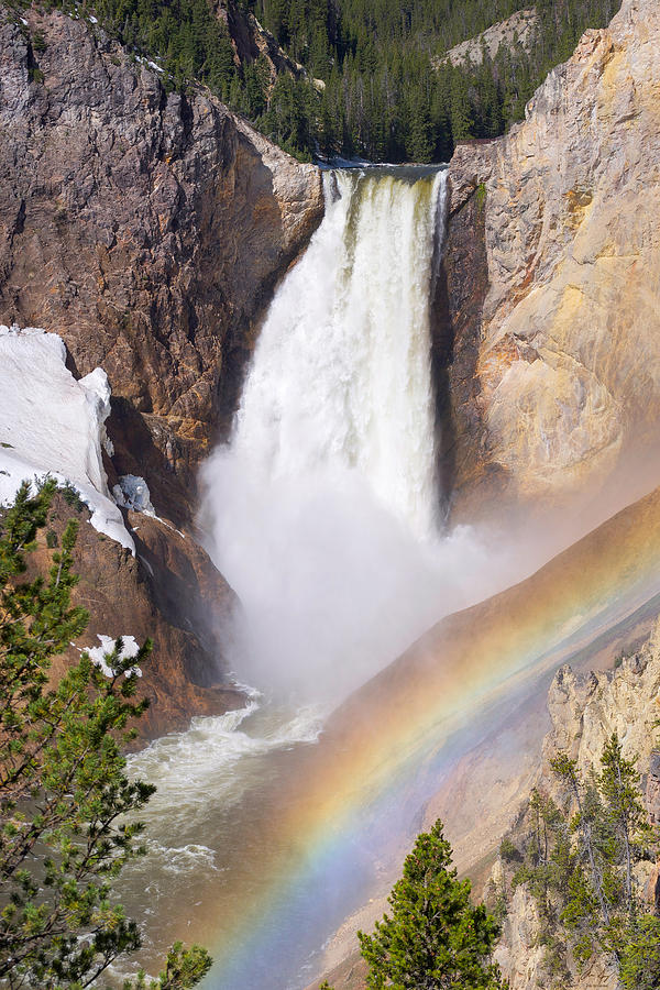 Lower Falls with Rainbow - Yellowstone National Park Photograph by Aaron Spong