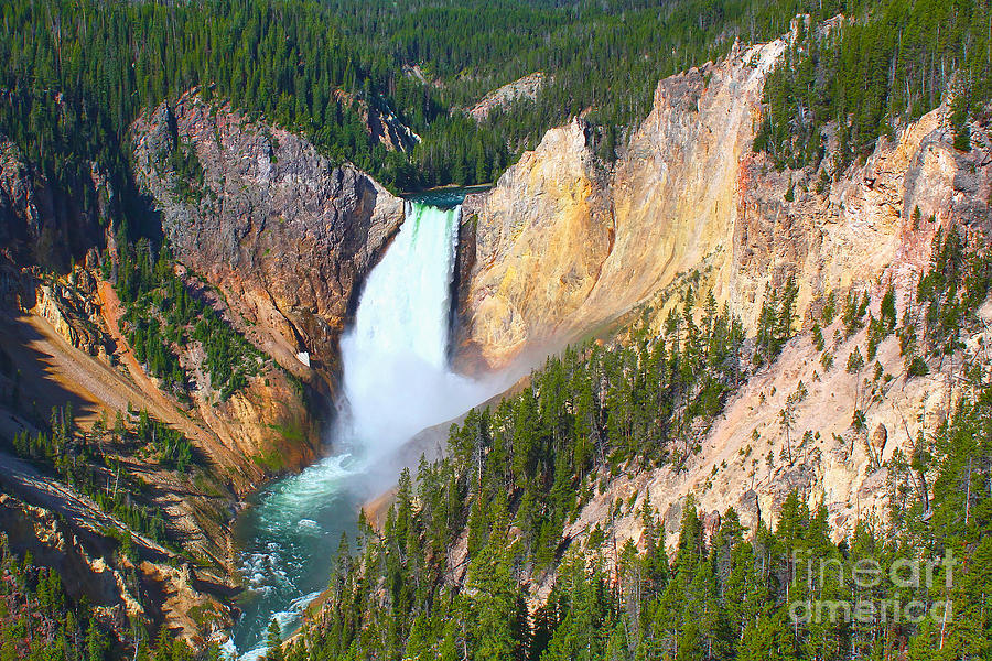 Yellowstone National Park Photograph - Lower Falls Yellowstone 2 by Teresa Zieba