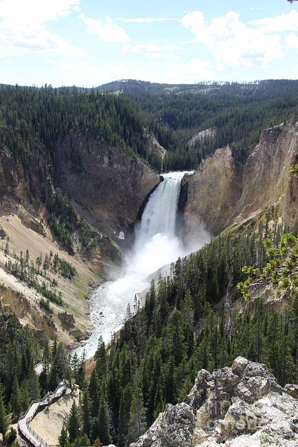 Lower Falls Yellowstone Photograph by Christiane Schulze Art And Photography