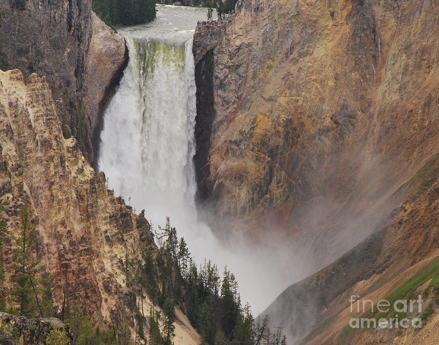 Lower Falls - Yellowstone Photograph by Mary Carol Story