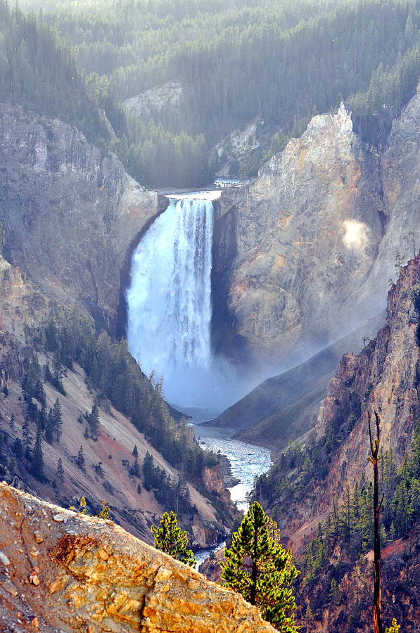 Lower Falls Yellowstone National Park Photograph by Lisa Holland-Gillem