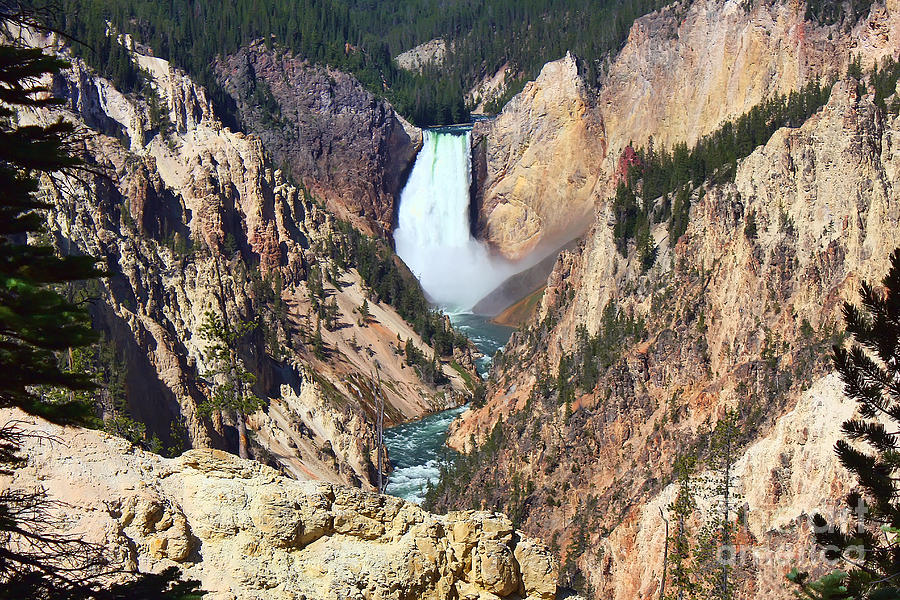 Yellowstone National Park Photograph - Lower Falls Yellowstone by Teresa Zieba