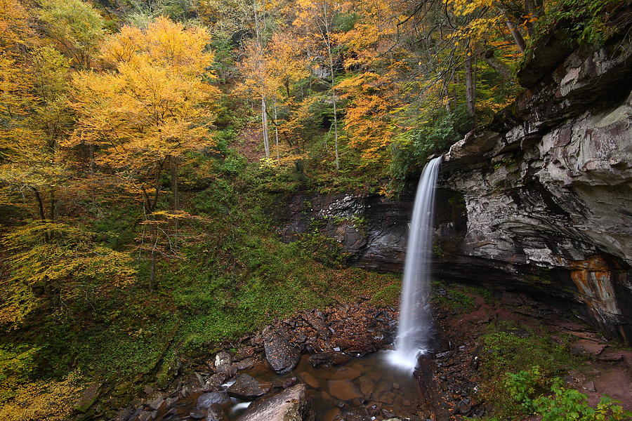 Lower Hill Creek Falls in autumn Photograph by Jetson Nguyen
