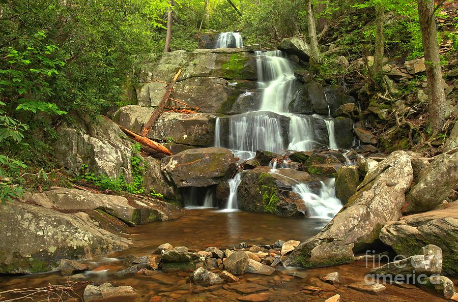 Lower Laurel In The Smokies Photograph by Adam Jewell