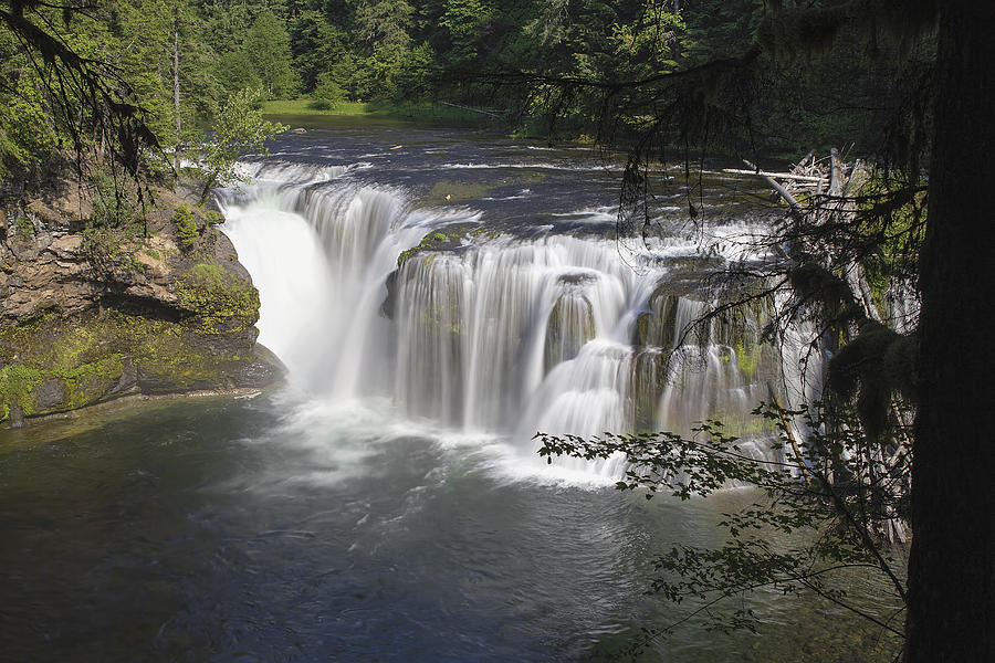 Lower Lewis River Falls Photograph by Jit Lim - Fine Art America