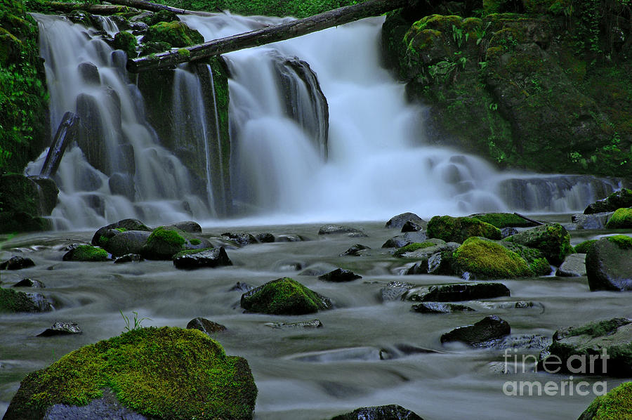 Lower McDowell Creek Falls Photograph by Nick Boren