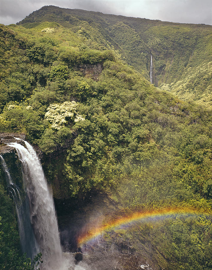 100714-Lower Palikea Falls and Waimoku Falls  Photograph by Ed  Cooper Photography
