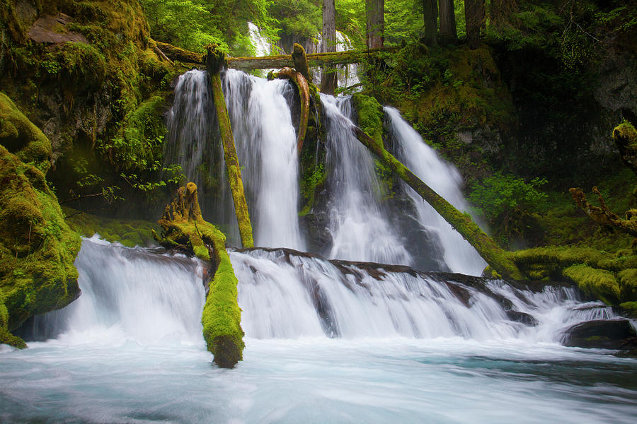 Lower Panther Creek Falls Photograph by Christopher Kimmel | Fine Art ...