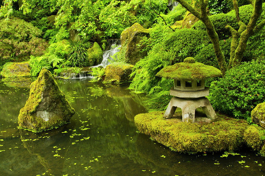 Lower Pond, Strolling Garden, Portland Photograph by Michel Hersen ...