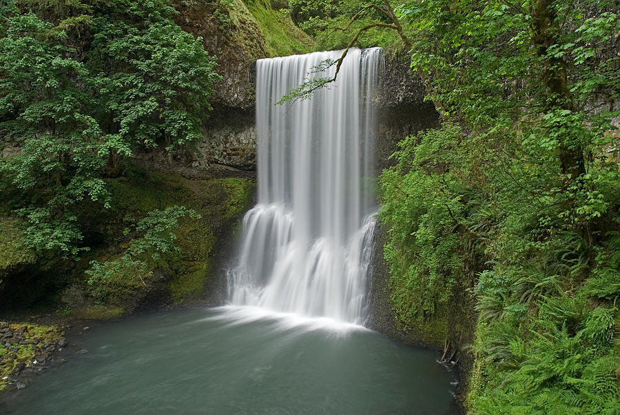 Lower South Falls Photograph by Gene McKinley - Fine Art America