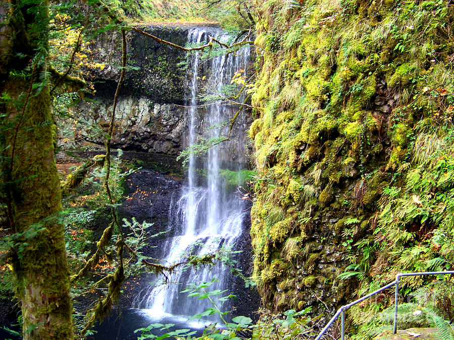 Lower South Falls Moss Covered Rocks Photograph by Charles Robinson