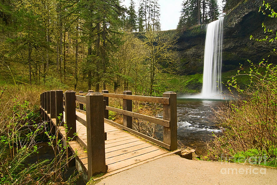 Nature Photograph - Lower South Waterfall with footbridge in Oregon Columbia River Gorge. by Jamie Pham